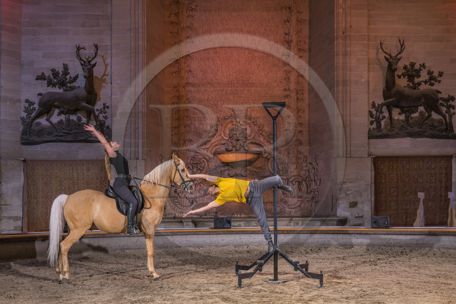 France, Oise (60), Chantilly, le chateau de Chantilly, les Grandes Ecuries, la salle des spectacles équestres sous le dome de l'ancien rendez-vous de chasse à cour, répétition d'un spectacle entre acrobate et cheval