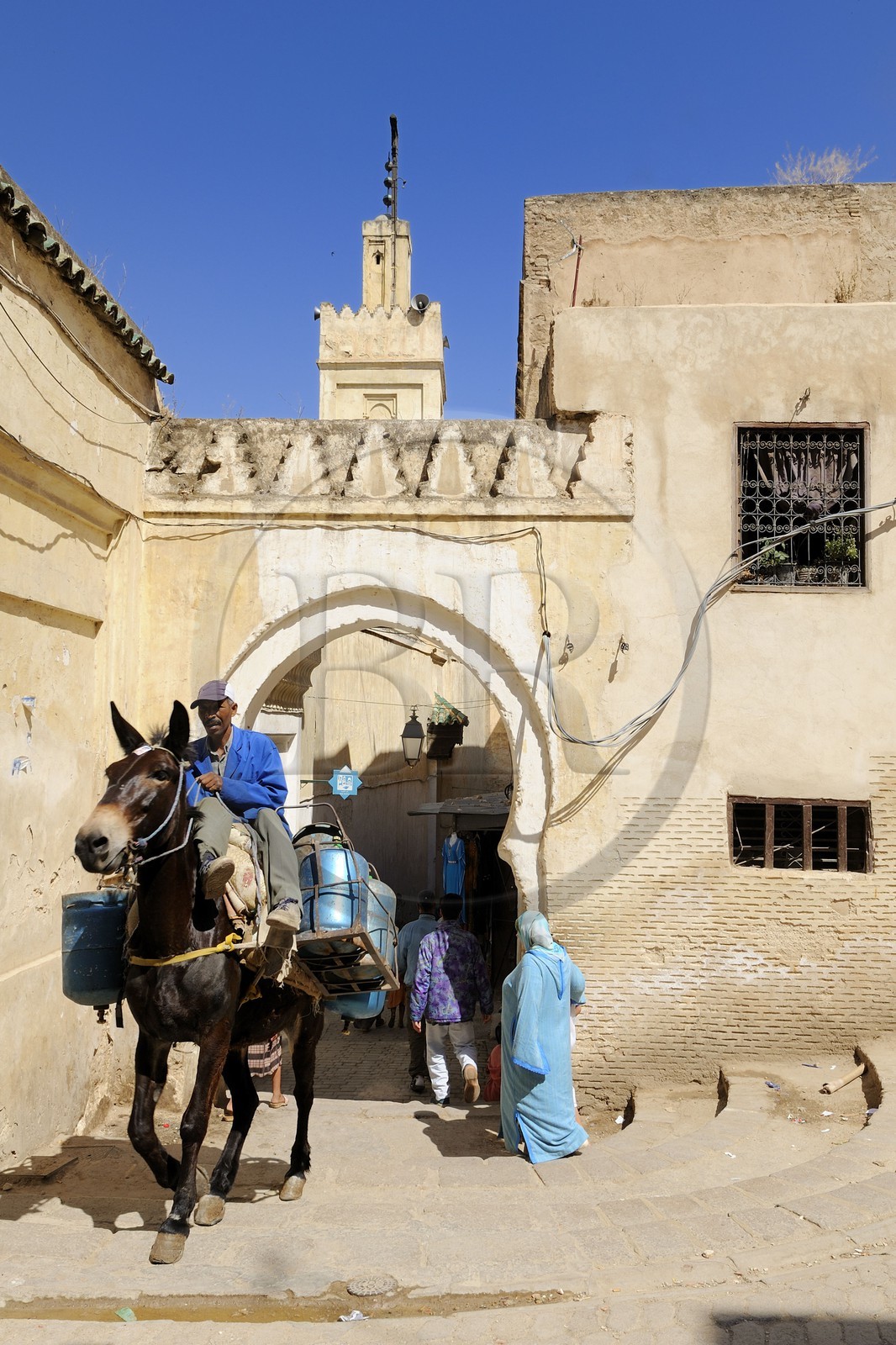 Morocco, Middle Atlas, Fez, Imperial City, Fez El Bali, medina listed as World Heritage by UNESCO, Chouara, Andalous district, door