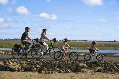 France, Vendée (85), île de Noirmoutier, Barbatre, cyclistes sur le passage du Gois, chaussée submersible qui relie l'île au continent à marrée basse