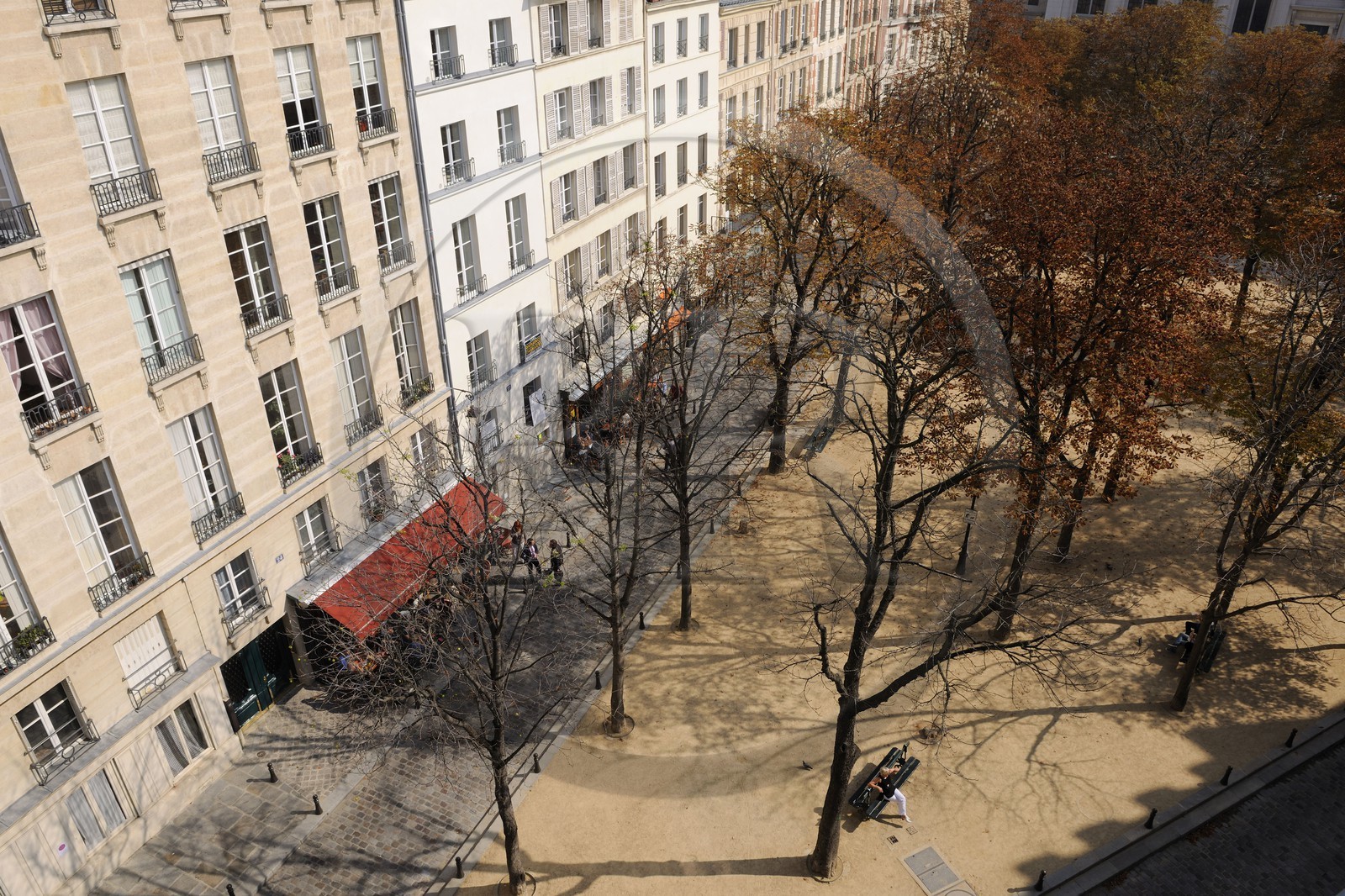 France, Paris (75), île de la Cité, place Dauphine
