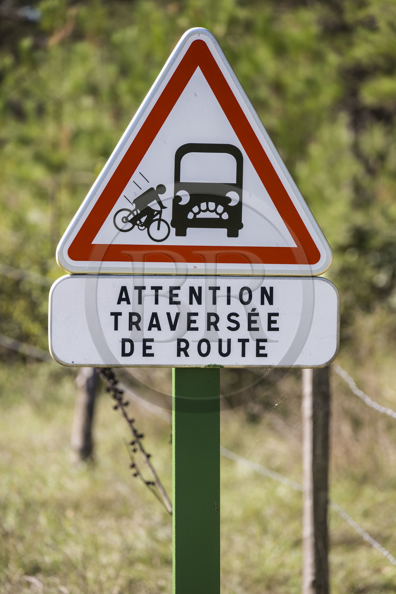 France, Hérault (34), les Causses et les Cévennes, paysage culturel de l'agro-pastoralisme méditerranéen inscrit au Patrimoine Mondial de l'UNESCO, Saint-Privat, panneau signalétique pour cycliste Attention traversée de route