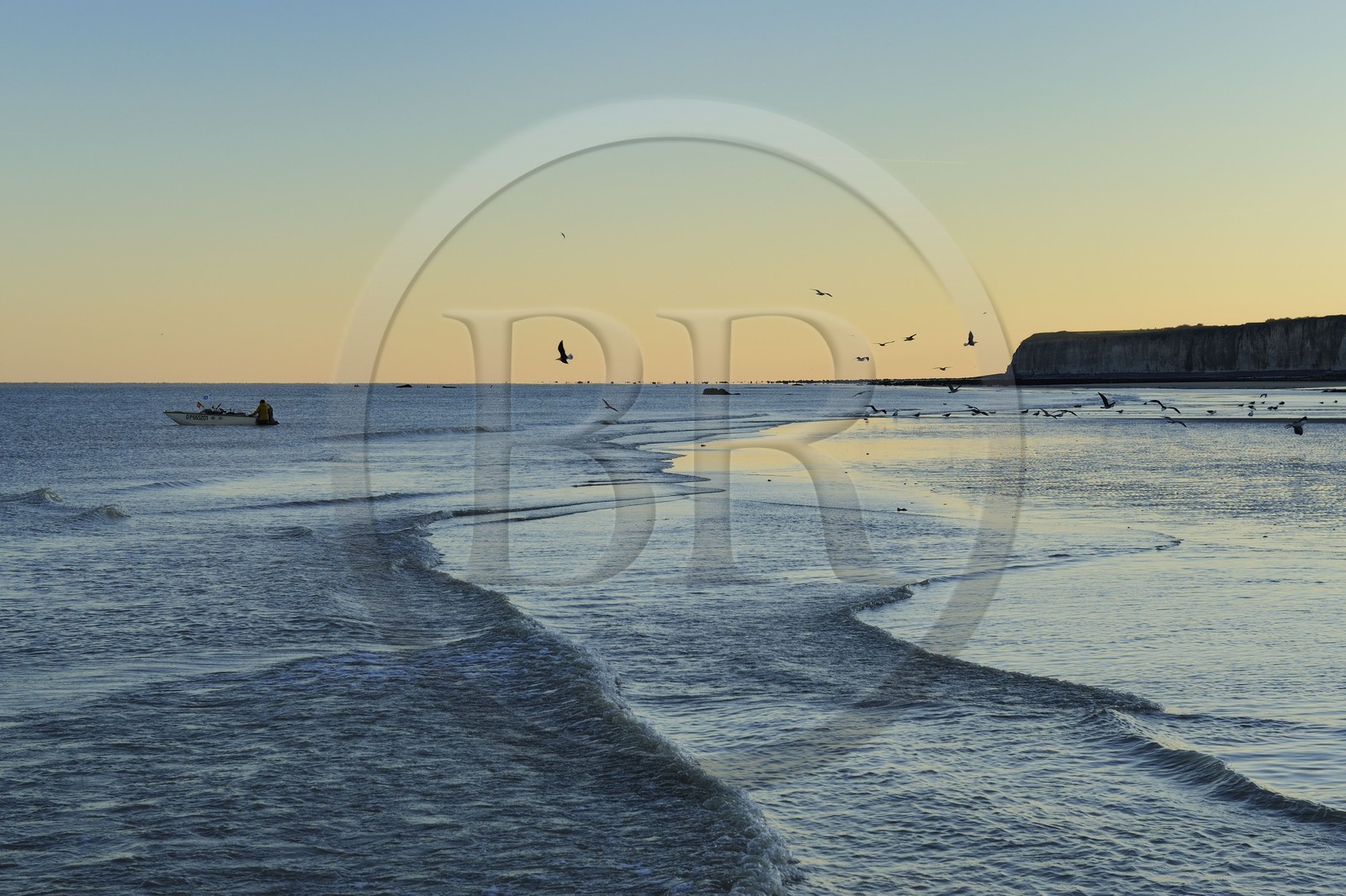 France, Seine-Maritime (76), Veules-les-Roses, goélands sur la plage et les falaises à l'aube