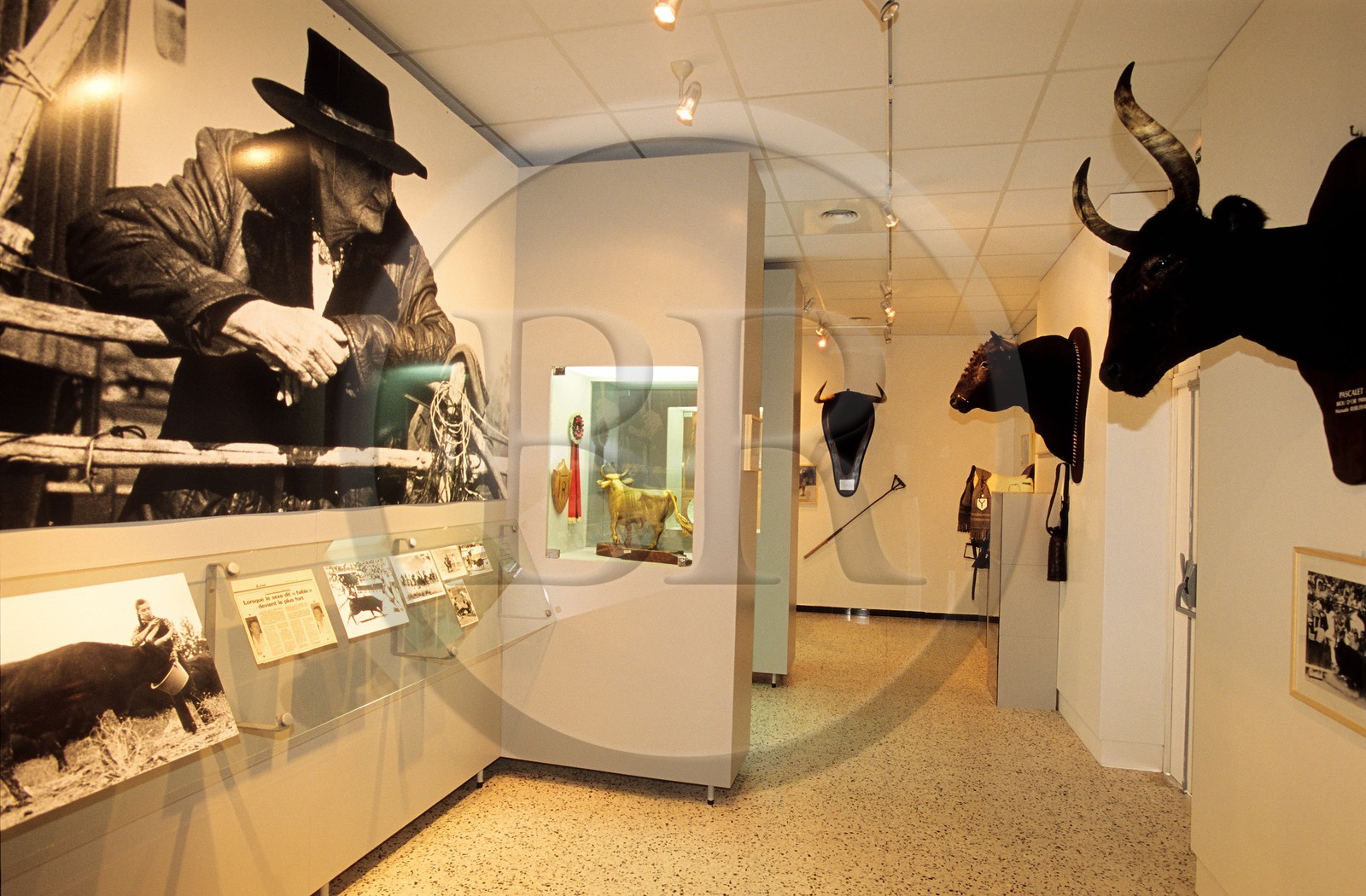 France, Gard (30), Nîmes, Musée des Cultures Taurines