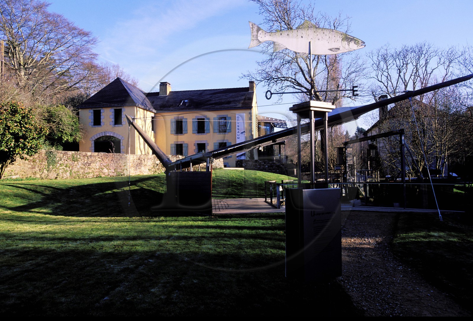 France, Morbihan (56), Pont-Scorff, Odyssaum, découverte du saumon sauvage
