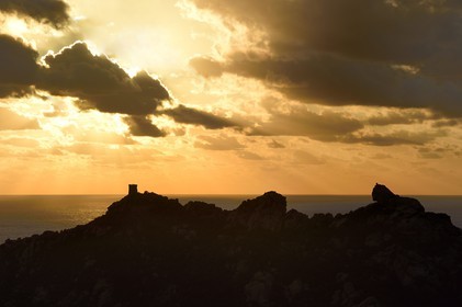 France, Corse-du-Sud (2A), le site naturel de Cala de Roccapina, la tour génoise et le rocher du Lion