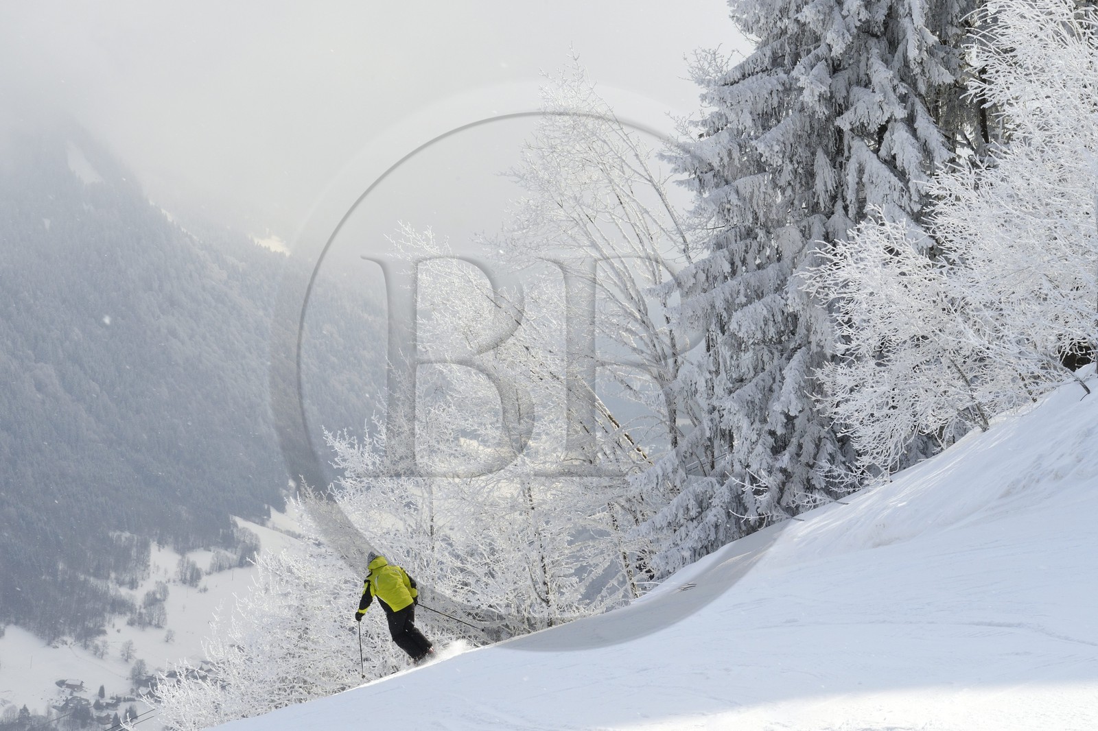 France, Haute-Savoie (74), Morzine