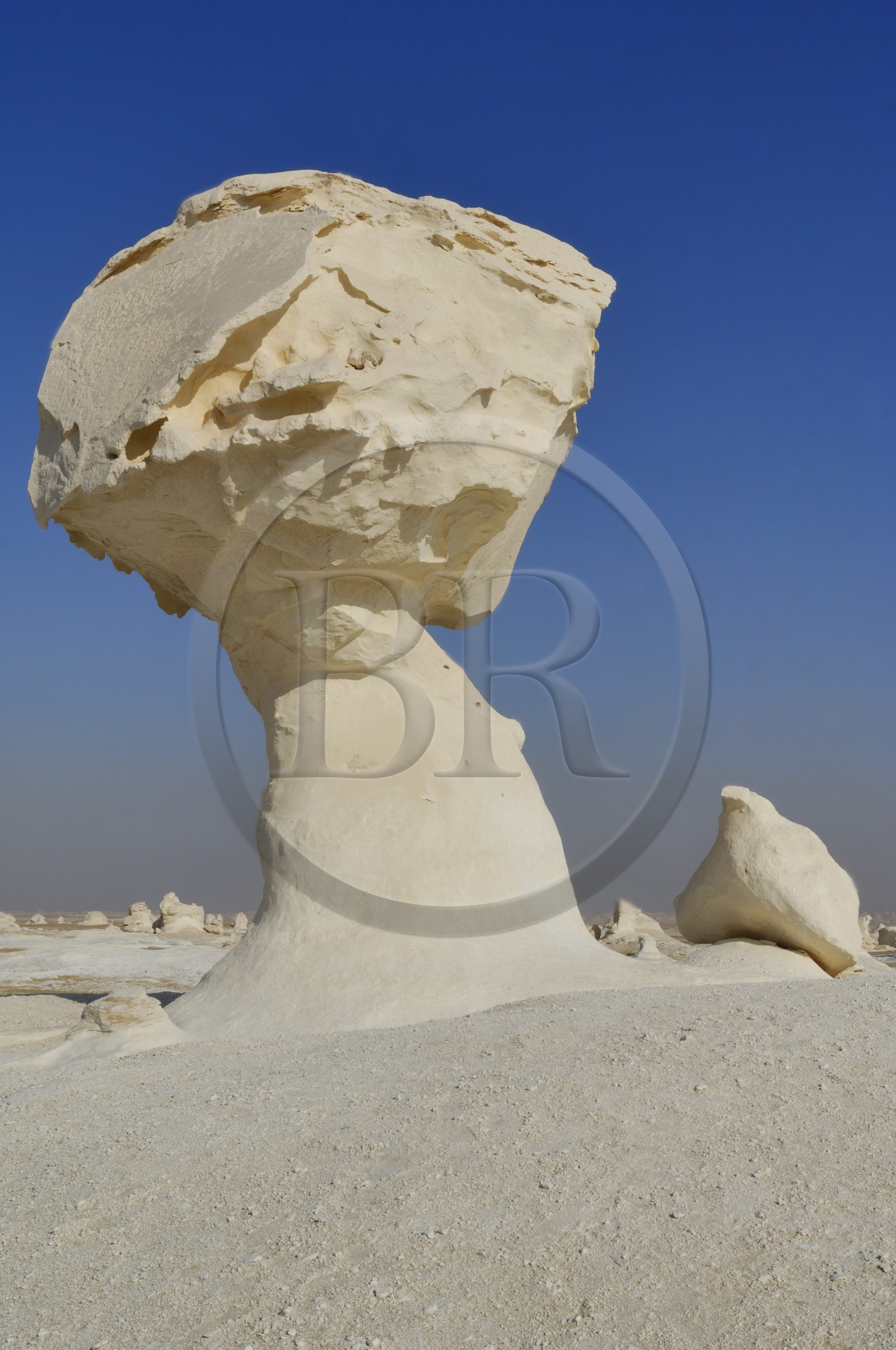 Egypte, désert libyque, le Désert Blanc au nord de Farafra