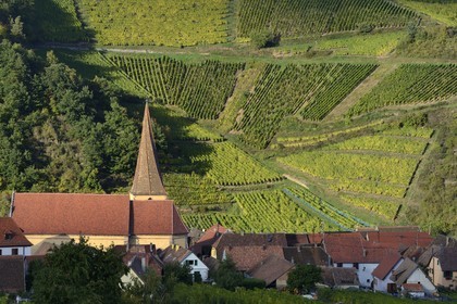 France, Haut-Rhin (68), Route des Vins d'Alsace, Niedermorschwihr, le village entouré par le vignoble et son église à clocher tors
