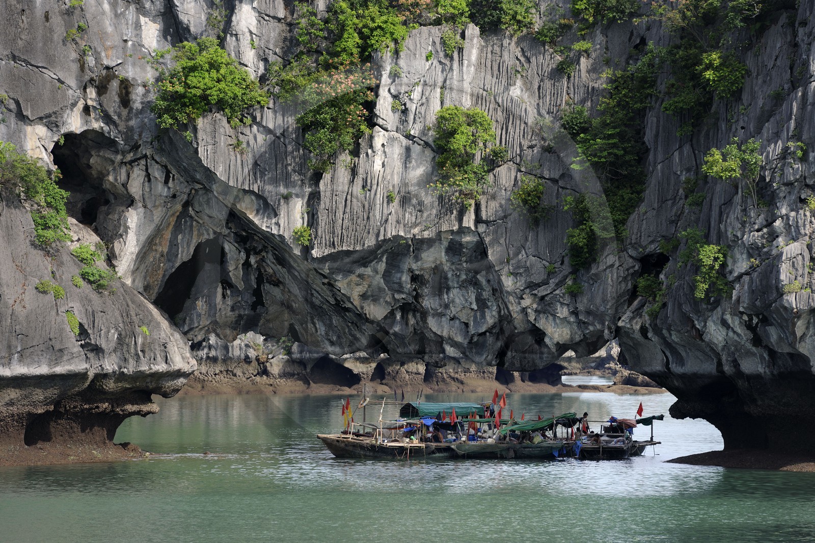 Vietnam, province de Quang Ninh, la Baie d'Halong classée Patrimoine Mondial de l'UNESCO, regroupement de bateaux de pêche sous une arche naturelle d'un ilot calcaire