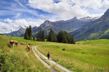 Suisse, Canton de Vaud, Ormont-Dessus, Les Diablerets, randonnée autour du lac Retaud au dessus du Col du Pillon