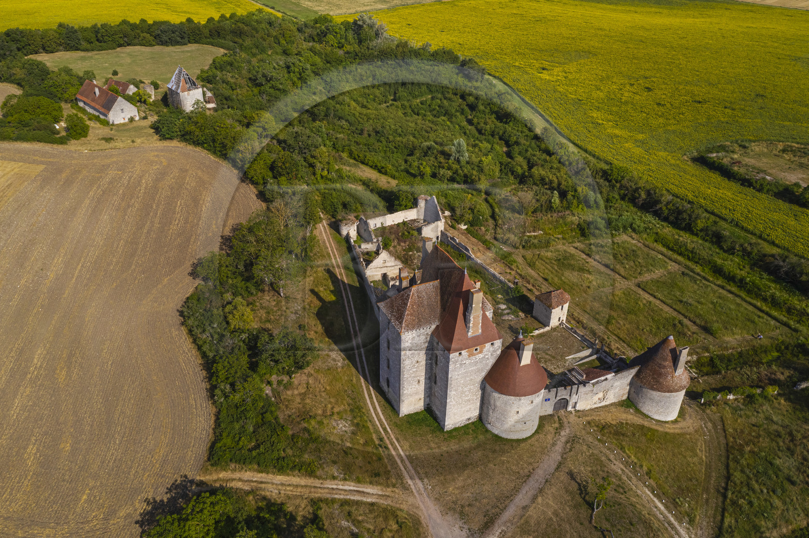 France, Allier (03), former province of Bourbonnais, Besson, Fourchaud castle (14th century to 16th century) now belonging to the descendants of the Bourbon-Parma (aerial view)