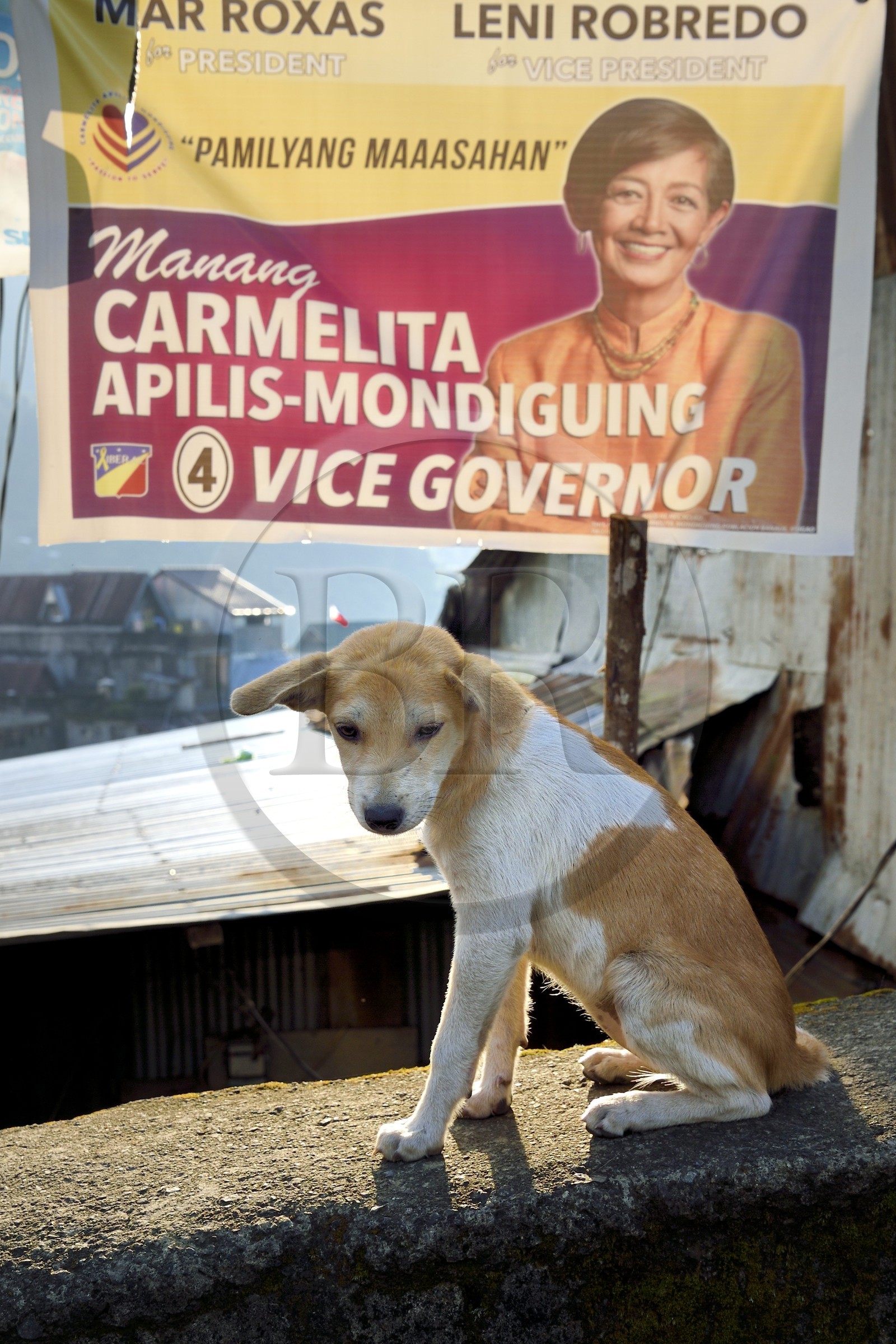 Philippines, Ifugao province, Banaue town