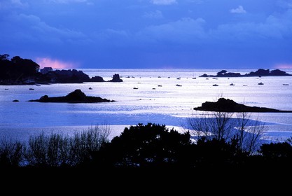 France, Hérault (34), Etang de Vic