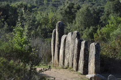 France, Corse-du-Sud (2A), Sartène, alignements de menhirs de Palaggiu (Pagliaju), dressés entre 1900 et 1000 avant Jésus-Christ, avec ses 258 menhirs, c'est le plus important de Méditerranée