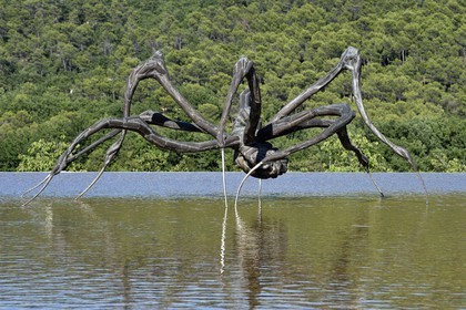 France, Bouches-du-Rhône (13),  Le Puy Sainte Réparade, Chateau La Coste domaine viticole et centre d'art contemporain, Crouching Spider 6695 de Louise Bourgeois (Mention Obligatoire)