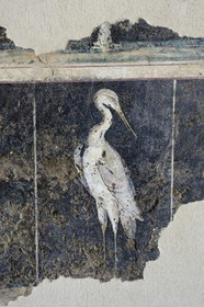 France, Rhône (69), Saint-Romain-en-Gal, musée gallo-romain de Saint-Romain-en-Gal, peinture murale appelée Peinture aux Échassiers provenant du péristyle d’une maison de Vienne