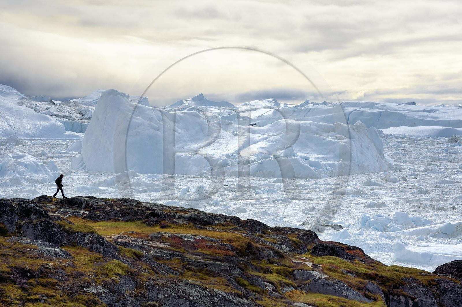Groenland, cote ouest, baie de Disko, Ilulissat, randonneur en bordure du fjord glacé classé Patrimoine Mondial de l'UNESCO qui est l’embouchure maritime du glacier Sermeq Kujalleq (Jakobshavn Glacier)