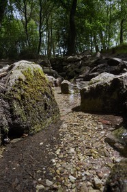France, Ille-et-Vilaine (35), forêt de Brocéliande, la fontaine de Barenton