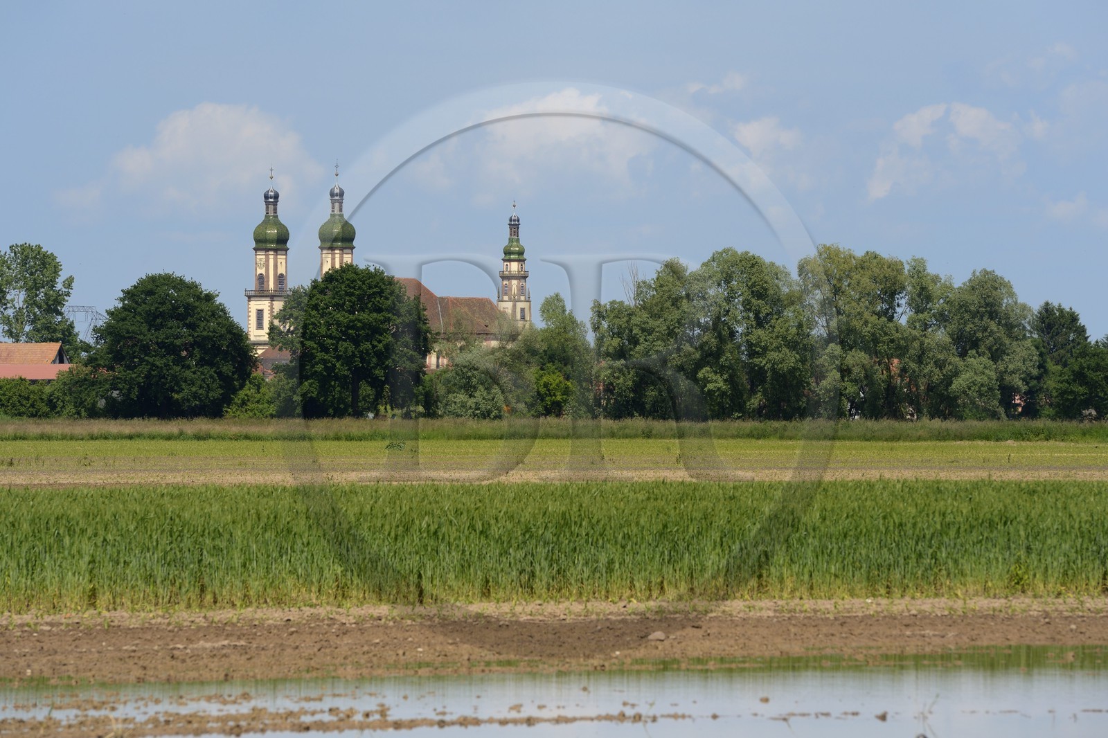France, Bas Rhin, the Ried, Ebersmunster, abbey church of Saint-Maurice from the 18th century and german baroque style