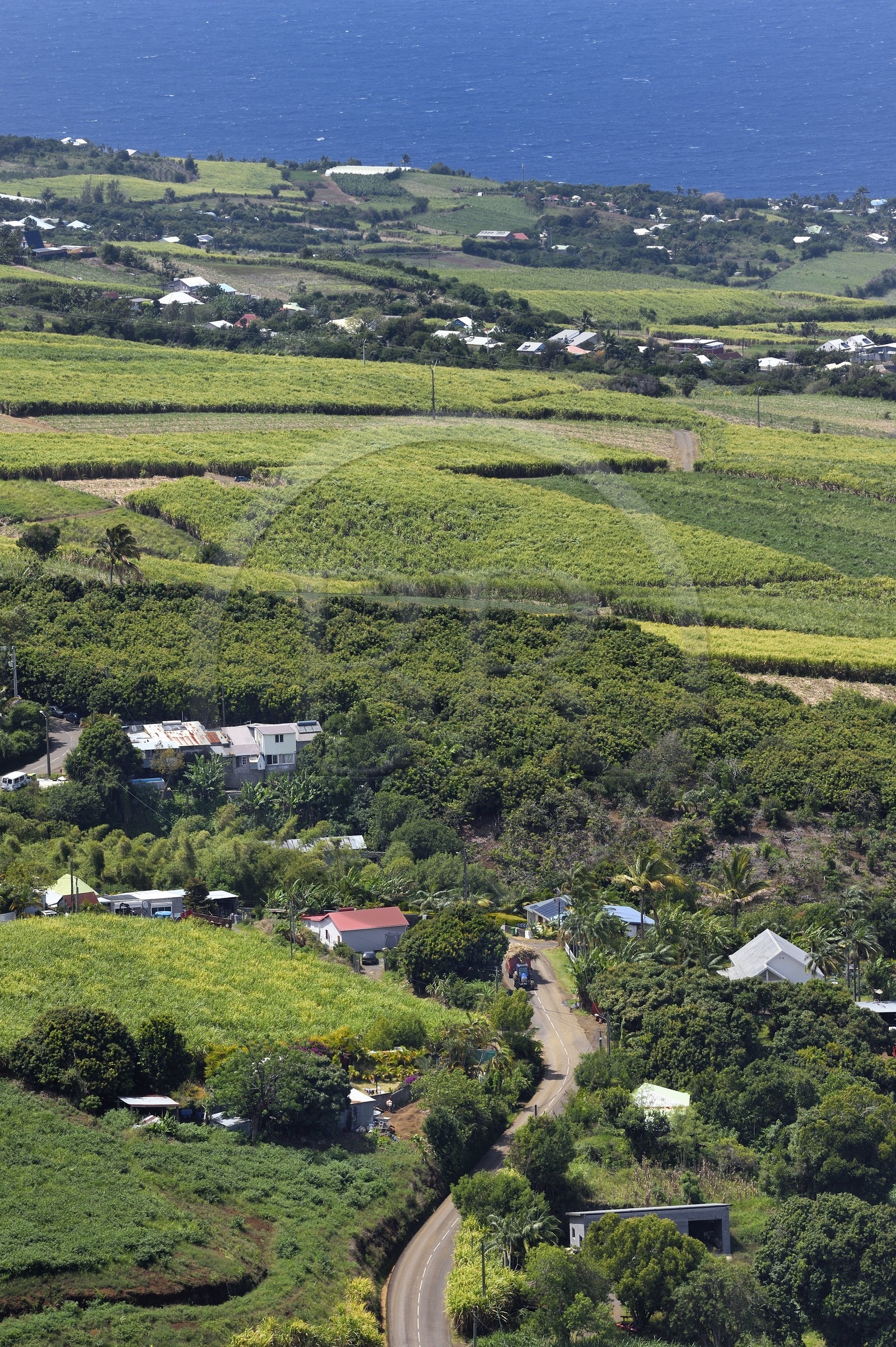 France, Reunion island (French overseas department), Petite Ile, sugar cane fields towards Anse-les Bas seen from the peak of Mont Vert