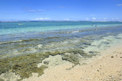 France, île de la Réunion, la Cote Ouest, plage du lagon de Saint-Gilles-Les-Bains à l'Ermitage-les-Bains