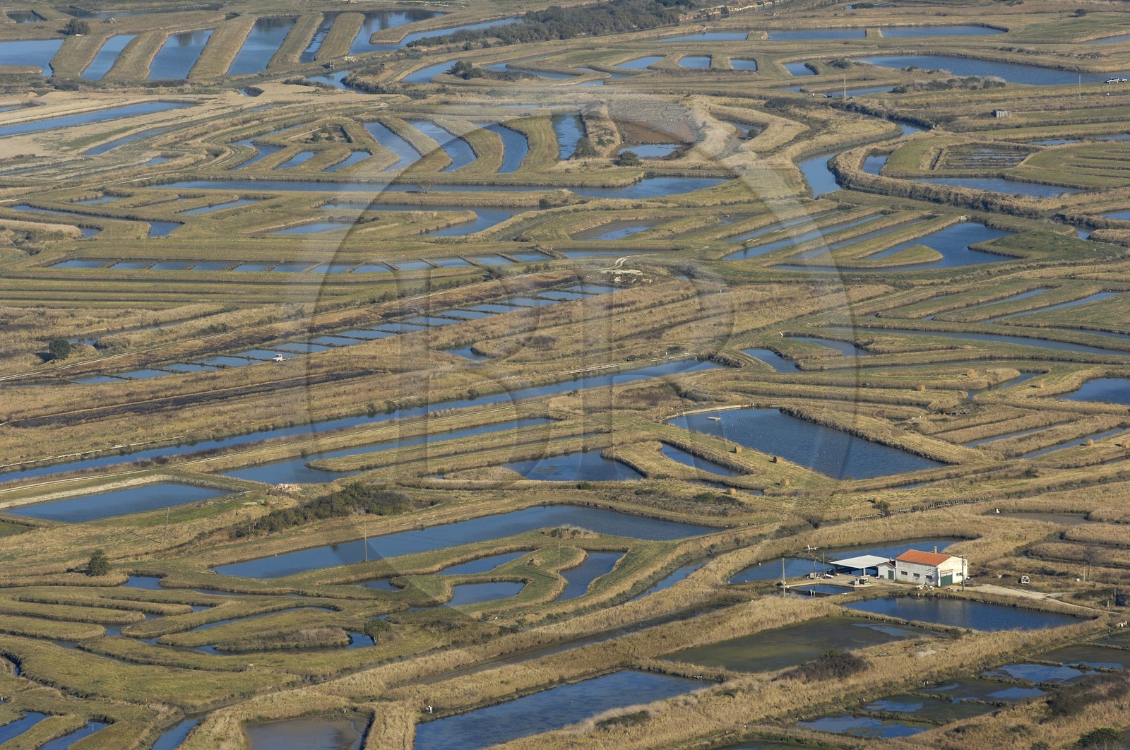 France, Charente-Maritime (17), Ile d'Oléron, côte est au nord de Château-d'Oléron, entre marais et parcs à huitres (vue aérienne)
