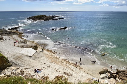 France, Finistère (29), Moelan-sur-Mer, le littoral entre Kerfany les Pins et la plage de Trenez sur le chemin de Grande Randonnée GR 34 ou sentier des douaniers, l'Ile Percée en arrière plan
