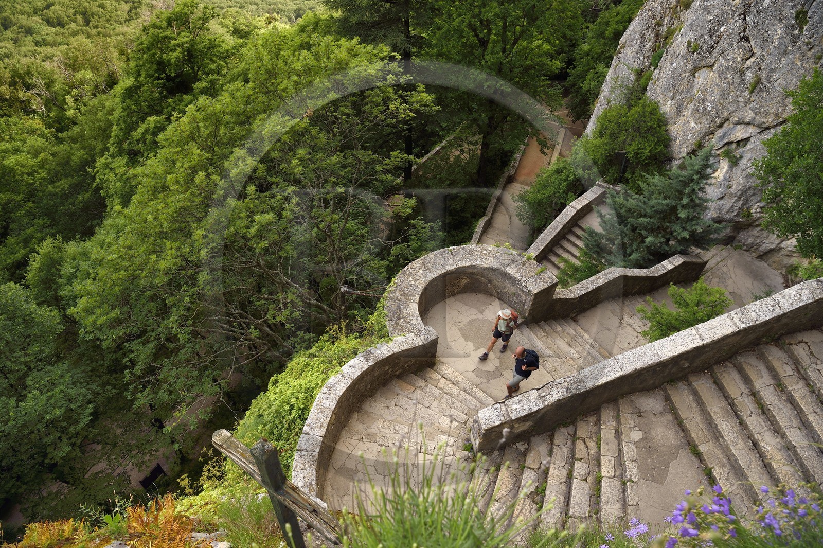 France, Var, Plan d'Aups Sainte Baume, Sainte-Baume Regional Nature Park, Sainte Baume massif, stairs of the Chemin des Rois (kings path) leading to the cave sanctuary of Sainte Marie-Madeleine (St. Mary Magdalene)