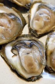 Croatie, Dalmatie, cote dalmate, presqu'ile de Peljesac, Ston, le plus grand centre d'ostréiculture de la cote dalmate à Mali Ston, l'huitre Ostrea edulis