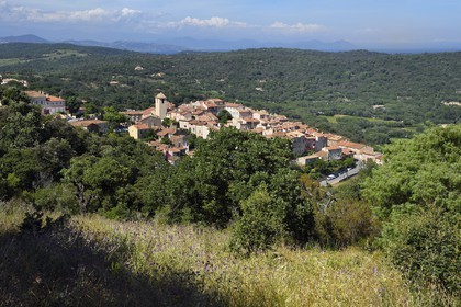 France, Var (83), Presqu'Ile de Saint-Tropez, Ramatuelle,