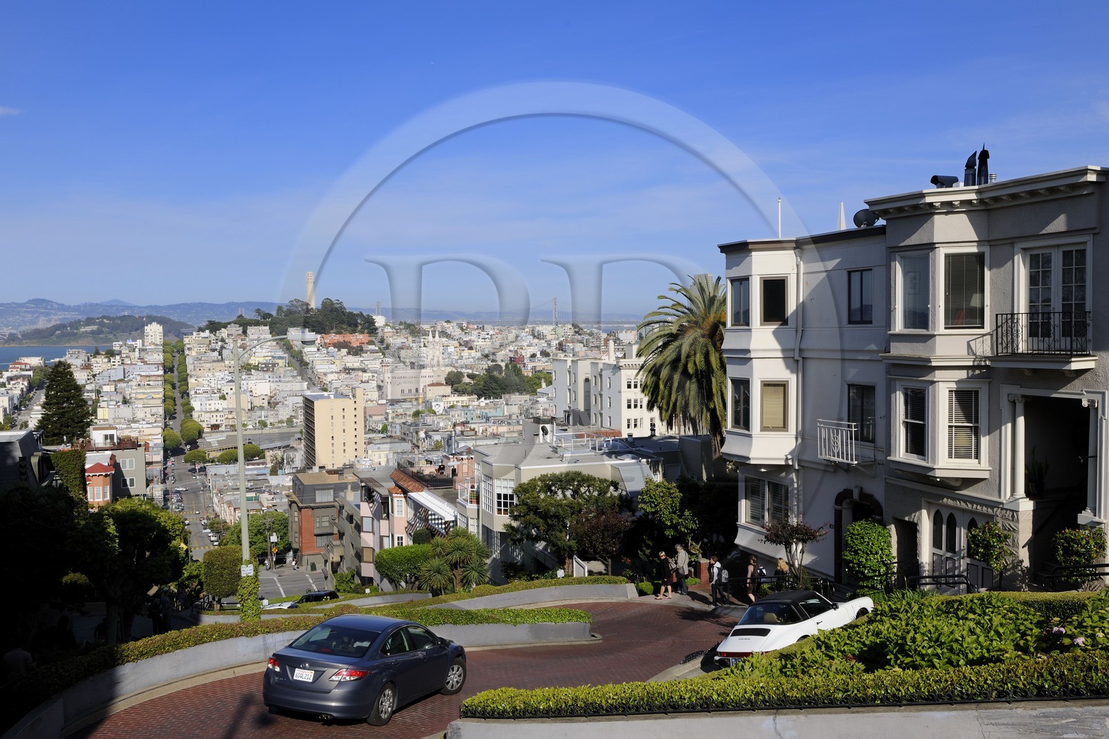 Etats-Unis, Californie, San Francisco, Lombard street depuis le quartier de Russian Hill, North Beach et la Coit Tower à Telegraph Hill au fond