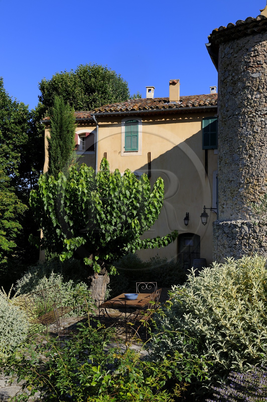 France, Var, Provence Verte (Green Provence), Bras village next to Saint Maximin, Le Peyrourier Bed & Breakfast, une campagne en Provence
