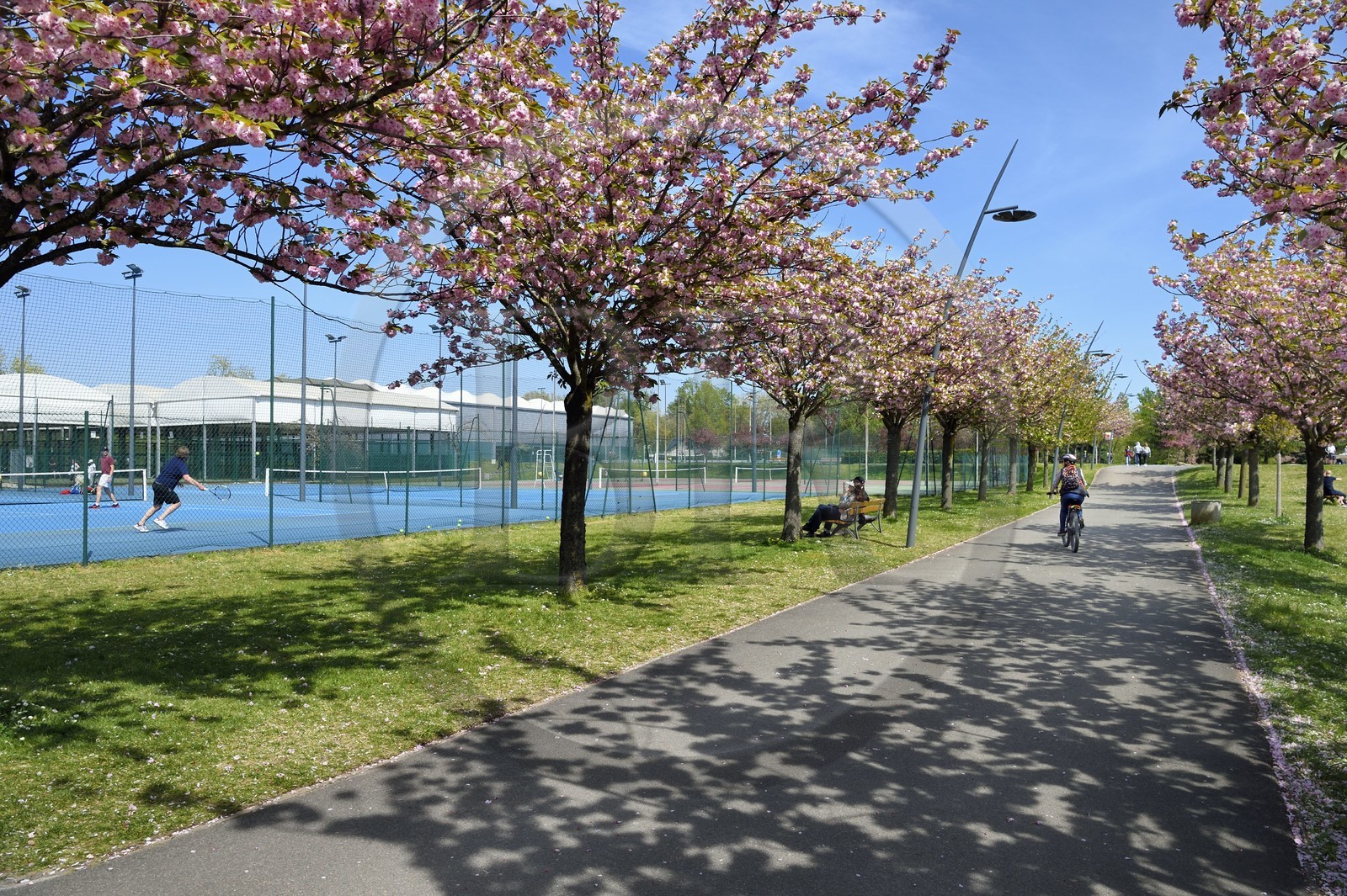 France, Val-de-Marne (94), Champigny-sur-Marne, parc du Tremblay, cours de tennis