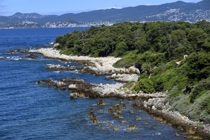 France, Alpes-Maritimes (06), Cannes, Iles de Lérins, Ile de Saint-Honorat