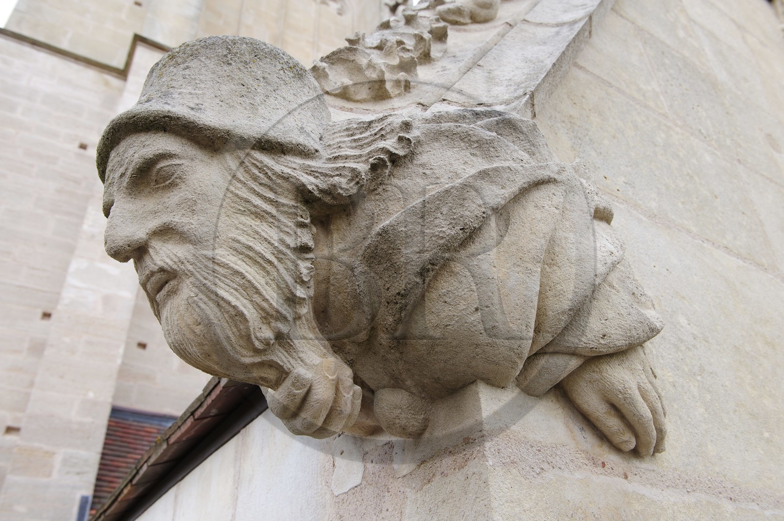 France, Côte d'Or (21), Semur-en-Auxois, l'église Notre-Dame, gargouille