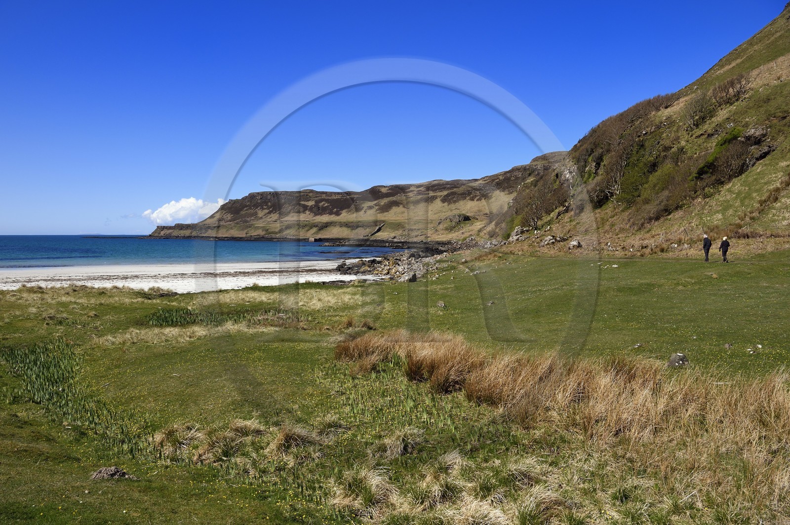 United Kingdom, Scotland, Highland, Inner Hebrides, Isle of Mull, Calgary Bay beach