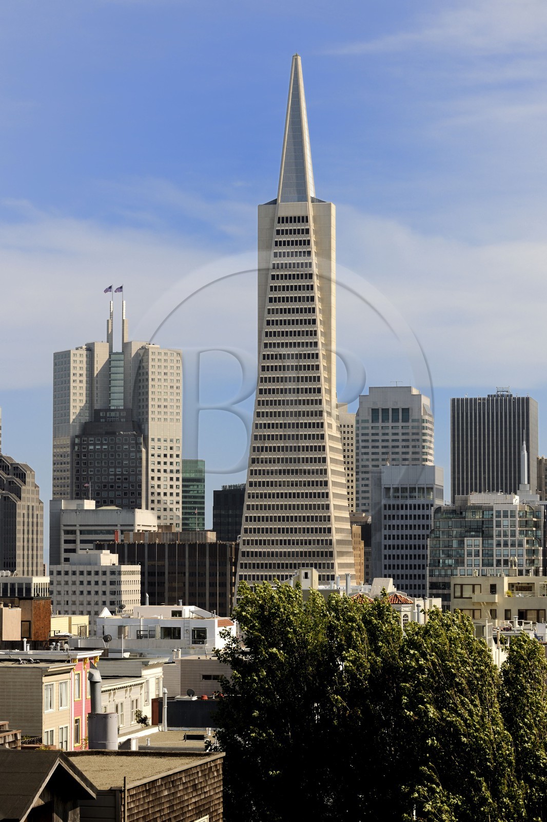 Etats-Unis, Californie, San Francisco, financial district, Transamerica Pyramid Building par l'architecte William Leonard Pereira