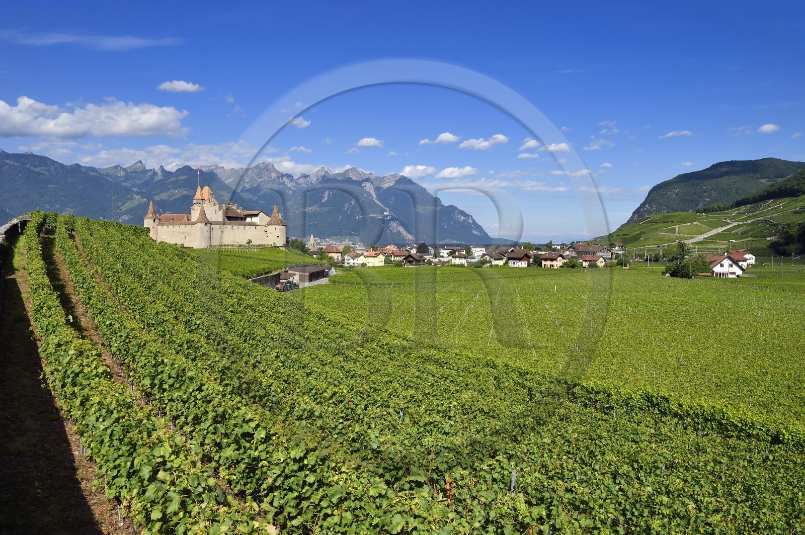 Suisse, Canton de Vaud, Aigle, le chateau entouré par le vignobles, il abrite le musée de la Vigne et du Vin