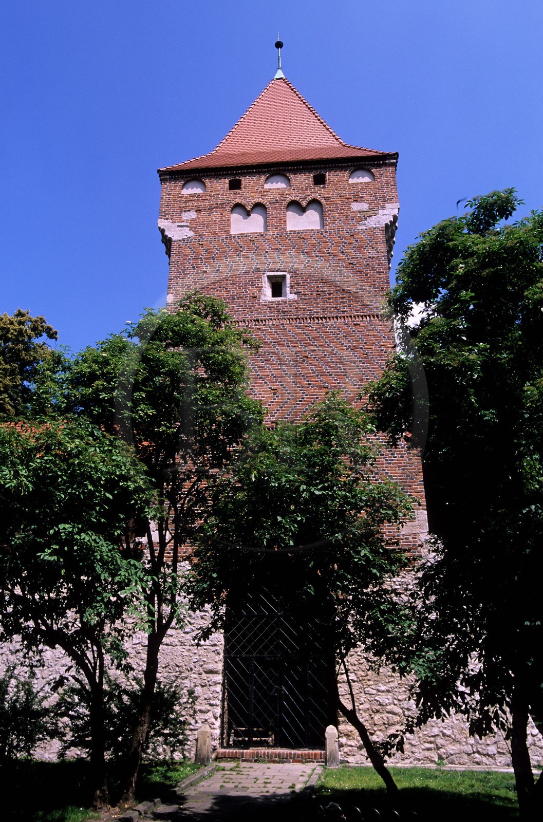 Pologne, région de la Petite-Pologne, Cracovie, vieille ville (Stare Miasto), tour gothique de l' ancienne muraille