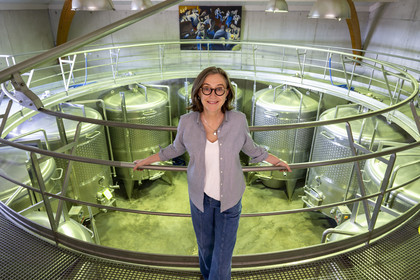 France, Vaucluse (84), Dentelles de Montmirail, Séguret, Domaine viticole de Mourchon dirigé par Kate McKinley
