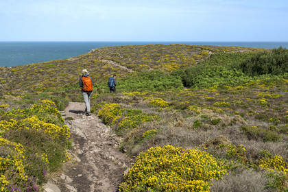 France, Cotes d'Armor, Grand Site de France Cap d'Erquy - Cap Frehel, Erquy, hikers at Anse de Port-Blanc on the GR 34 hiking trail