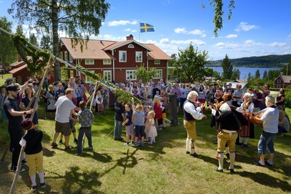 Sweden, Dalarna County, Leksand area, Midsummer celebrations in the tiny hamlet of Sunnanäng on the shore of Lake Siljan, uprising the maypole