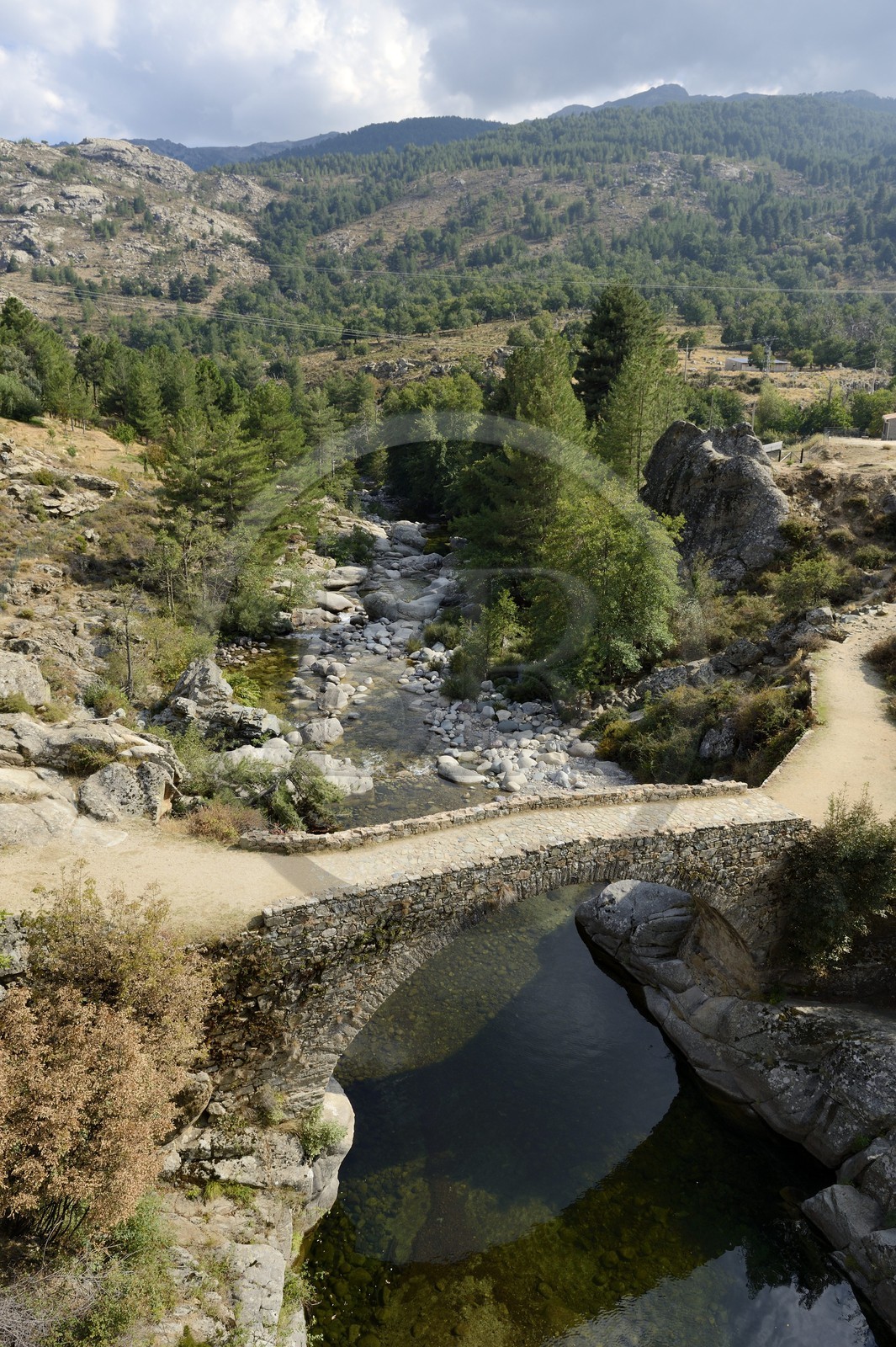 France, Haute-Corse (2B), région du Niolu (Niolo), pont génois Ponte Altu au dessus de la rière Golo