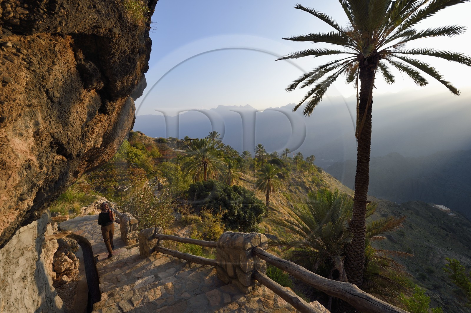 Sultanat d'Oman, Gouvernorat d'Al-Batina du Sud, Hajar occidental, Wadi Mistall, village de Wakan (Wukan), le sentier de randonnée comprenant 700 marches monte à travers les jardins en terrasses et le long de canaux d'irrigation