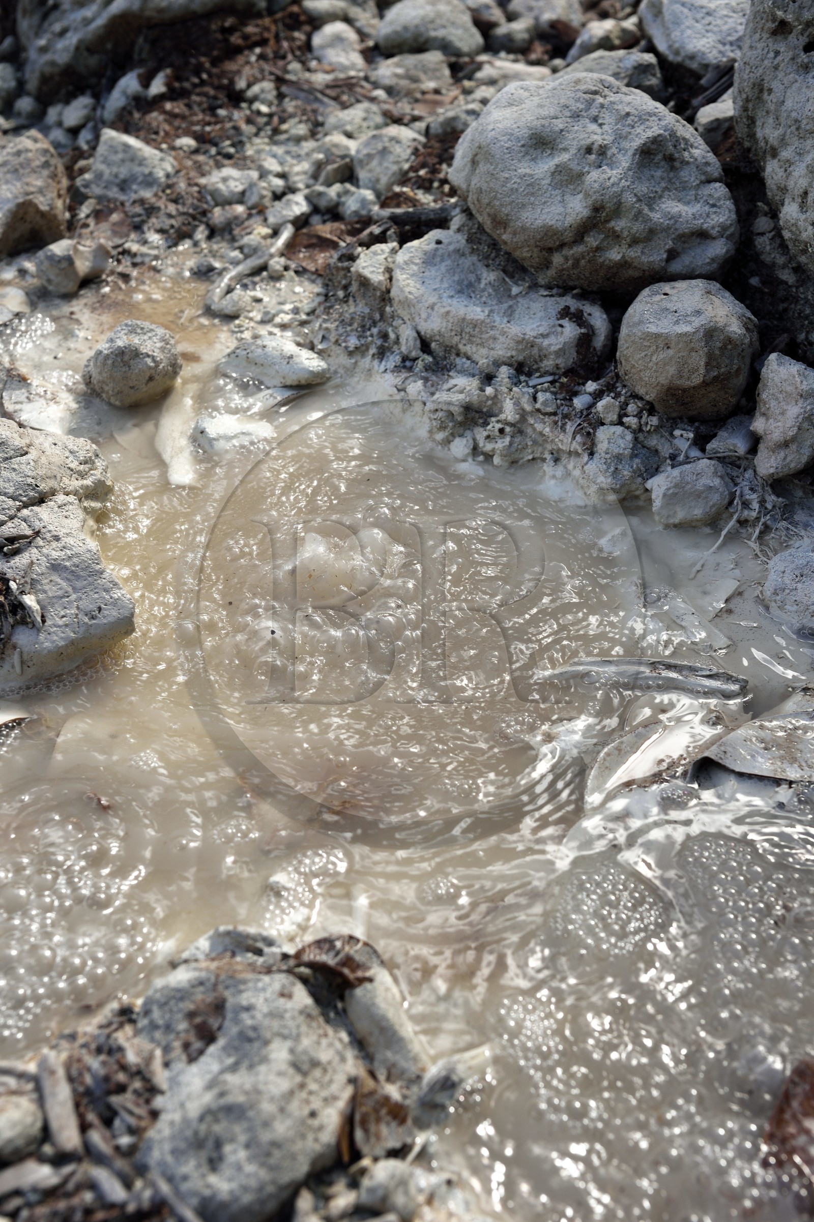 Caraïbes, Ile de la Dominique, rivière du site de la soufrière froide (Cold Soufrière) près du village de Pennville dans le nord de l'île sur le segment 13 du Waitukubuli National Trail