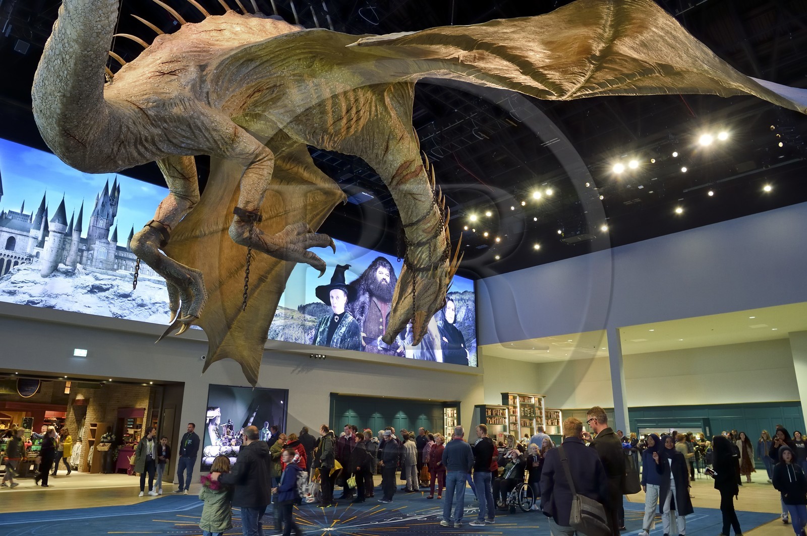 Royaume-Uni, Hertfordshire, Leavesden, Leavesden Film Studios, Harry Potter Studio Tour London, les coulisses du tournage des 8 films de Harry Potter, dragon géant en vol surplombant les visiteurs à l'entrée de l'exposition