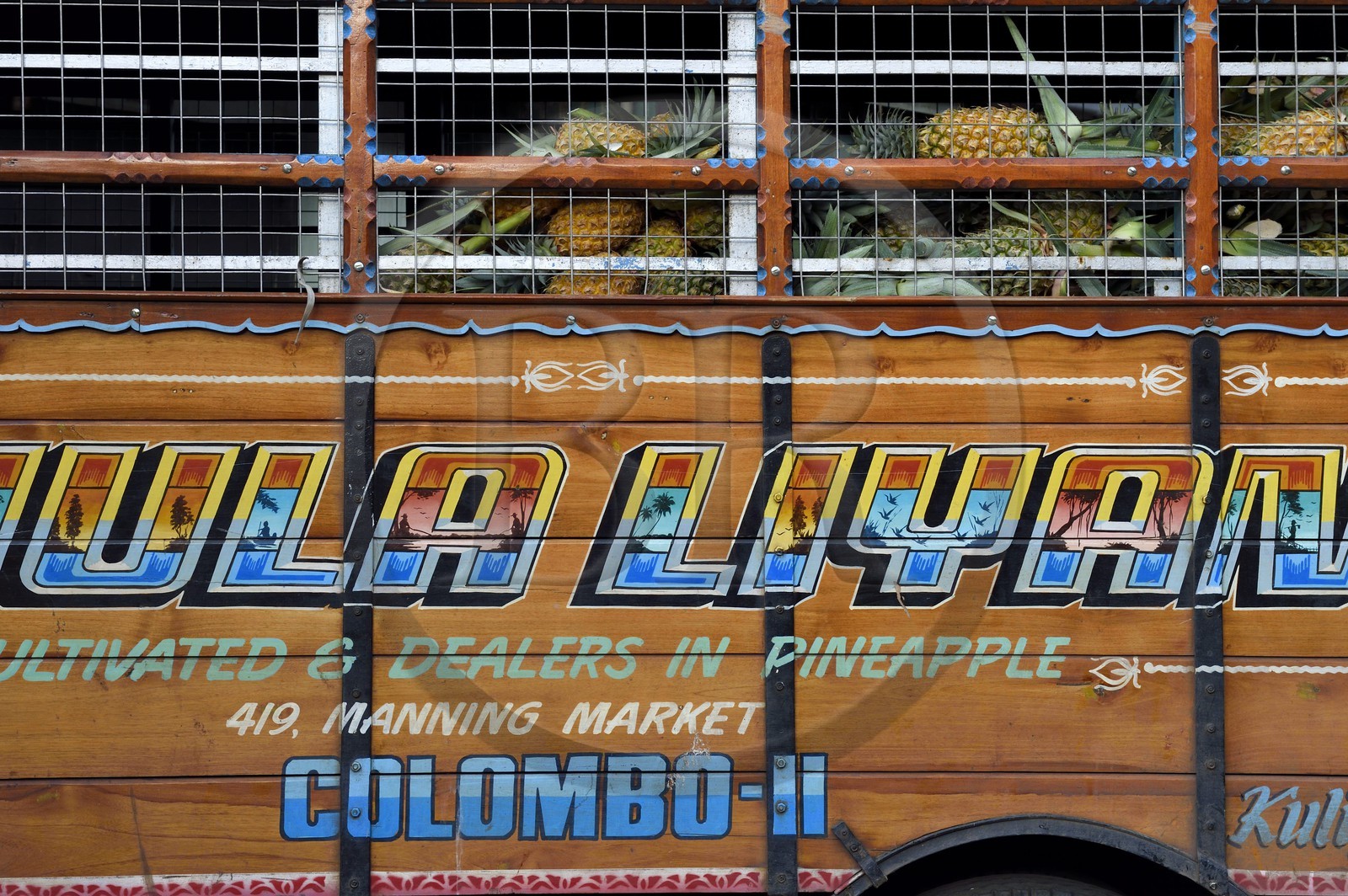 Sri Lanka, province de l'ouest, district de Colombo, Colombo, le marché de fruits et légumes Manning dans le quartier de Pettah