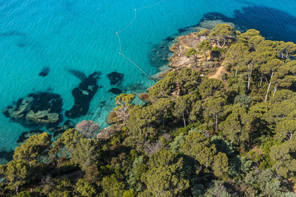 France, Var, Le Rayol Canadel sur Mer, Domaine du Rayol, Conservatoire du Littoral Estate compulsory mention, Jardin des Mediterranees designed by landscaper Gilles Clément (aerial view)