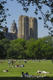 Etats-Unis, New York, Central park, farniente et sport le dimanche sur la pelouse The Sheep Meadow