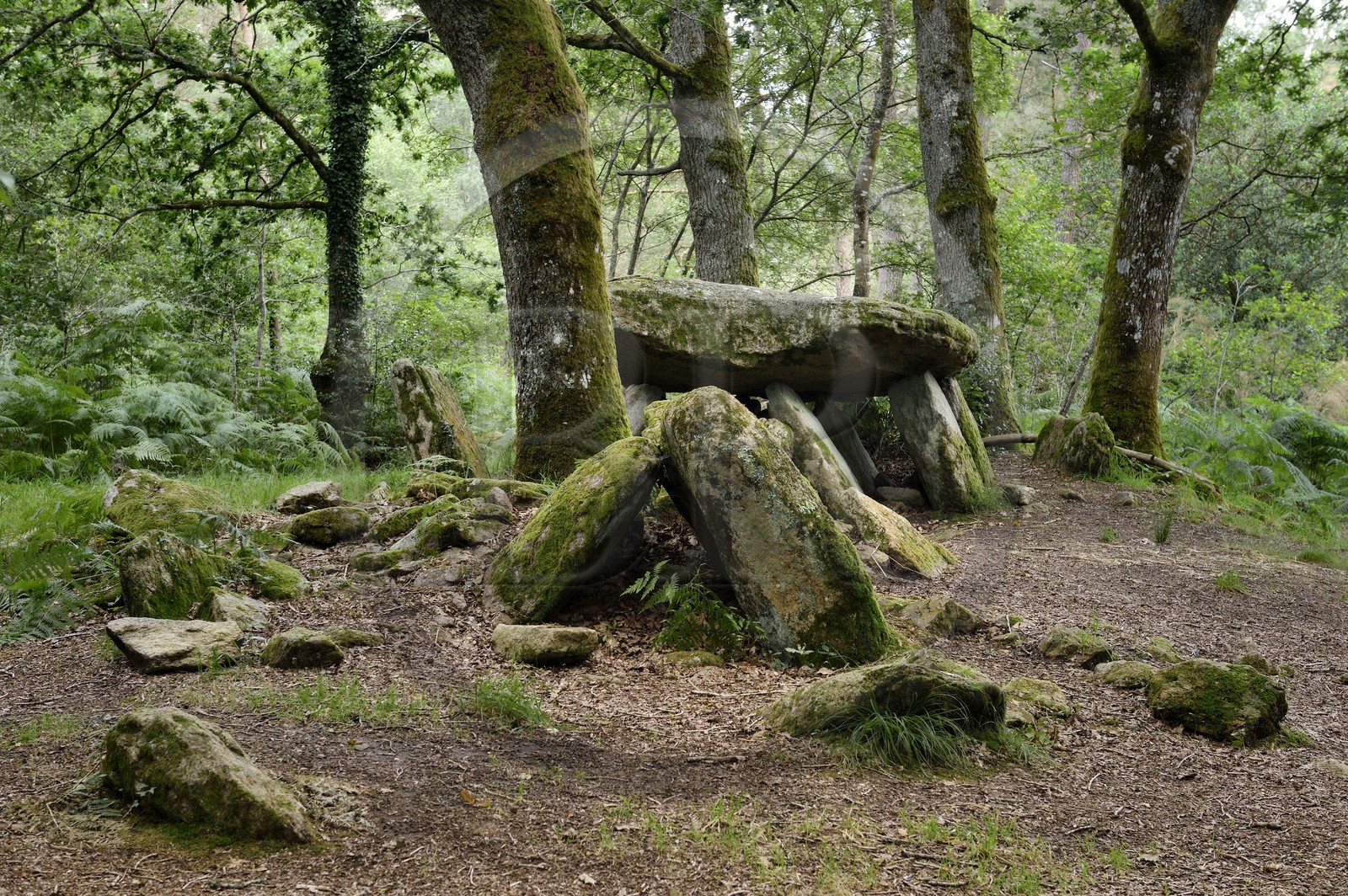 France, Morbihan (56), dolmen de la Loge au loup, allée couverte datée de plus de 4500 ans